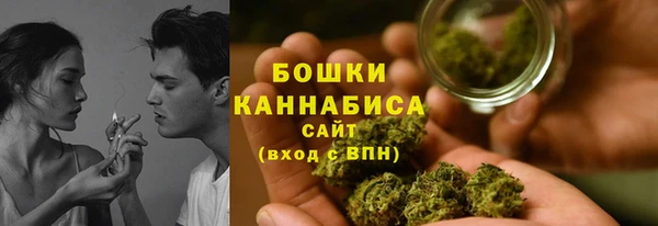 стафф Майский