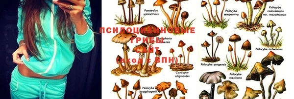марки lsd Липки