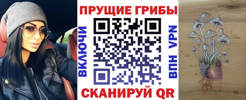 Галлюциногенные грибы мухоморы  Купить закладки  Краснознаменск 